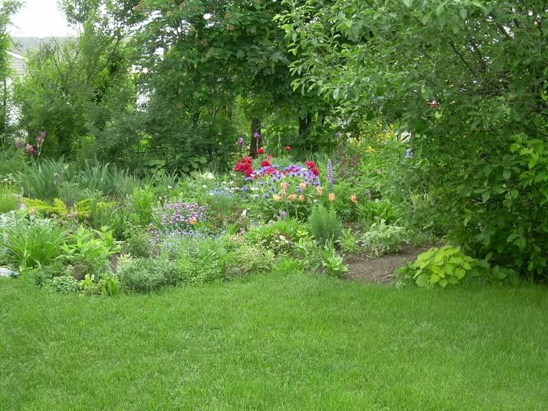 Garden late spring- 2008 photo DSCN1690_0063_063.jpg